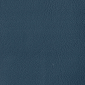 Blue Heron