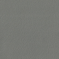 Light Slate