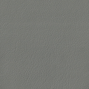 Light Slate