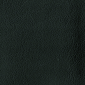 Coal