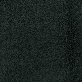 Coal