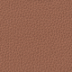 Canyon